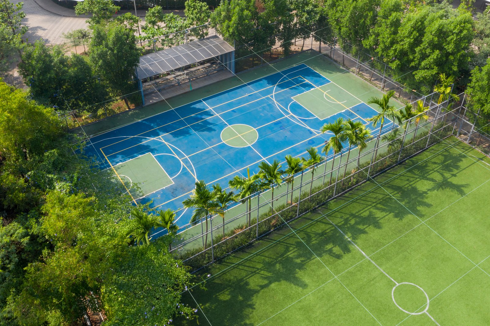 Aerial Shoot